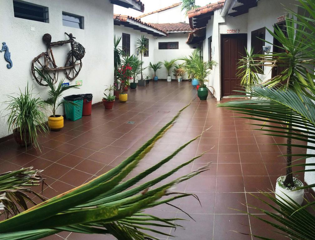 Jodanga Backpackers Hostel Santa Cruz de La Sierra Phòng bức ảnh